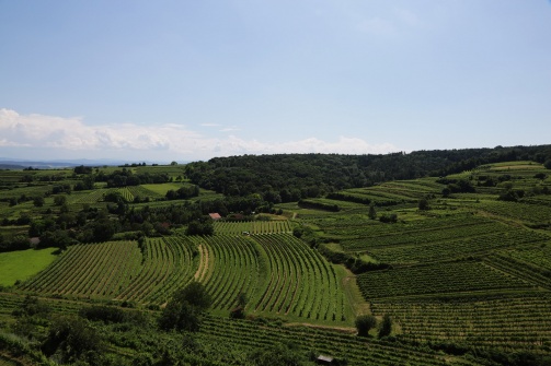 Aussichtsturm & Ahrenberger Kellergasse