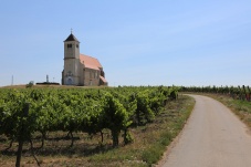 Kirche Wartberg