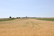 Kirche Wartberg