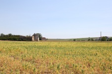 Kirche Wartberg