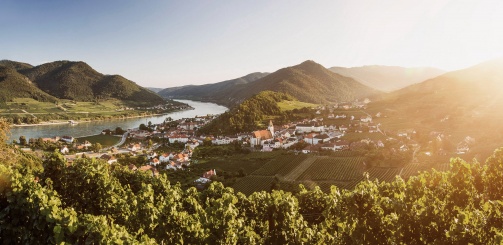 Wachau & Donauregion