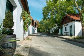 Kellergasse Hadres