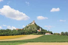 Burgruine Staatz