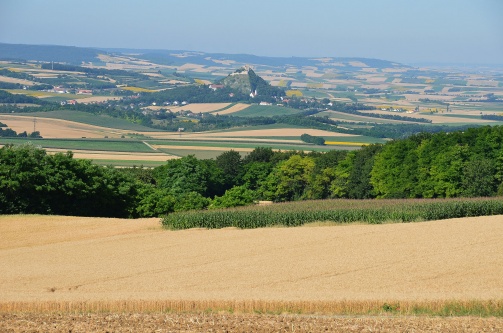 Burgruine Staatz