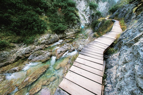 Naturpark Ötscher-Tormäuer