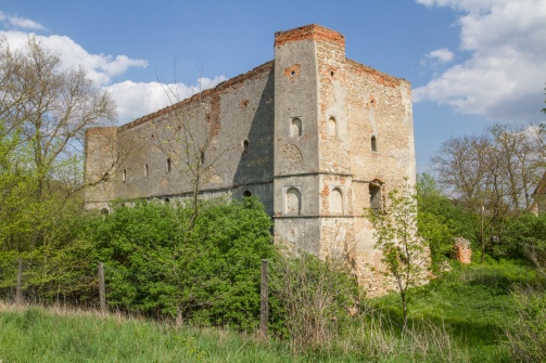 Schlossruine Wenzersdorf