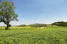 Naturpark Leiser Berge