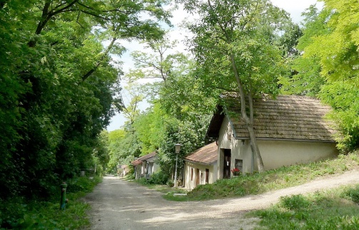 Kellergasse Wolkersdorf