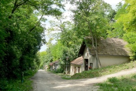 Kellergasse Wolkersdorf