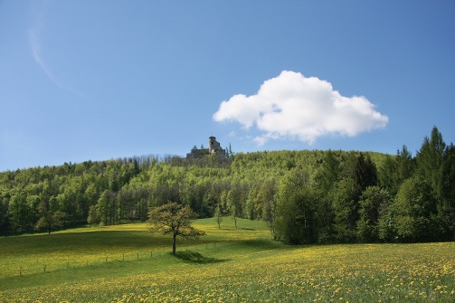 Burgruine Araburg