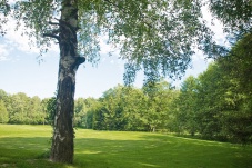 Golfclub Wienerwald