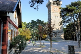 Harzberg & Harzbergturm