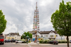 Zunftbaum Bruck/Leitha