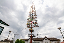 Zunftbaum Bruck/Leitha