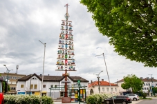 Zunftbaum Bruck/Leitha