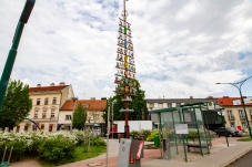 Zunftbaum Bruck/Leitha