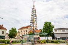 Zunftbaum Bruck/Leitha