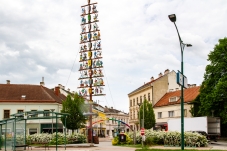 Zunftbaum Bruck/Leitha