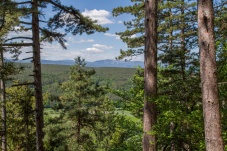 Naturpark & Burgruine Türkensturz