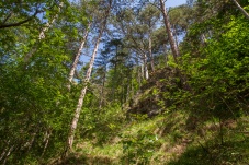 Naturpark & Burgruine Türkensturz