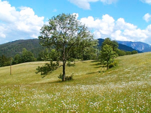 Chalet Hinterbreiteneben