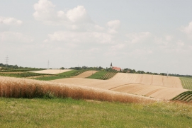 Rochuskapelle Mannersdorf