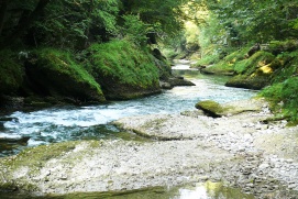 Erlaufschlucht