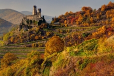 Burgruine Senftenberg