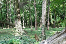 Schlosspark Laxenburg