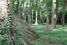 Schlosspark Laxenburg