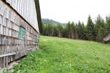 Jagdhütte 2