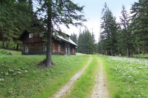 Jagdhütte 4