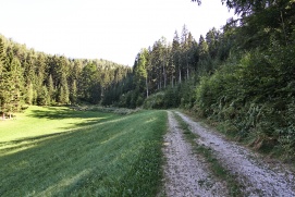 Hütte Falkensteiner