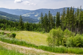 Wechselgebiet