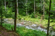Wechselgebiet