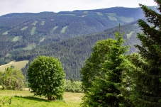 Wechselgebiet
