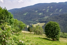 Wechselgebiet