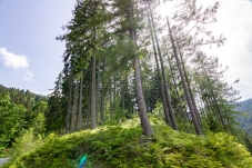 Wechselgebiet