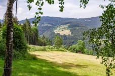 Wechselgebiet
