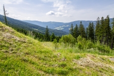 Wechselgebiet