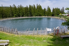 Wechselgebiet