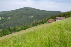 Wechselgebiet