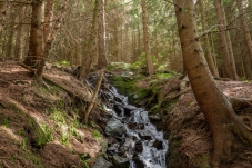 Wechselgebiet