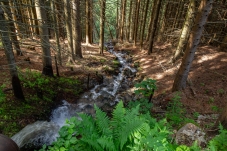 Wechselgebiet