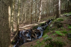 Wechselgebiet