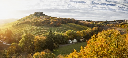 Kellergasse Falkenstein