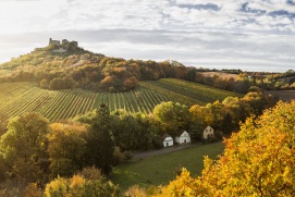 Kellergasse Falkenstein