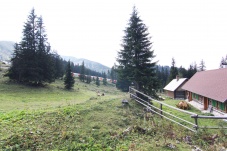 Moosbauerhütte