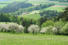 Bucklige Welt