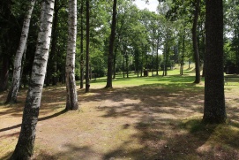 Badesee & Strandbad Herrensee-Litschau